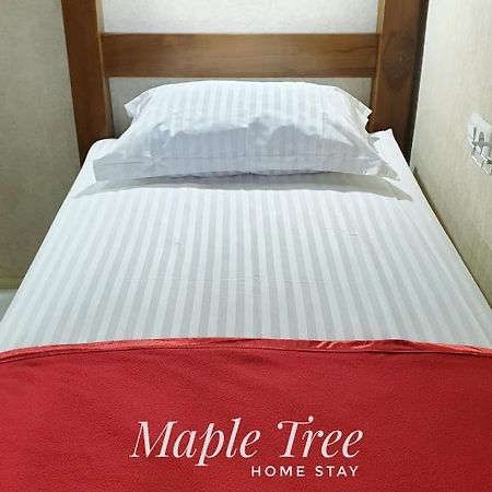 Maple Tree Homestay Maguwo 외부 사진