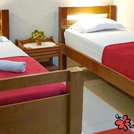 Maple Tree Homestay Maguwo 외부 사진