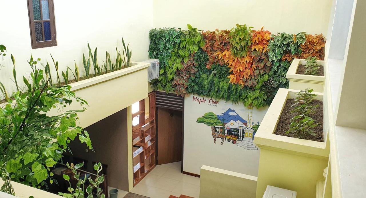 Maple Tree Homestay Maguwo 외부 사진