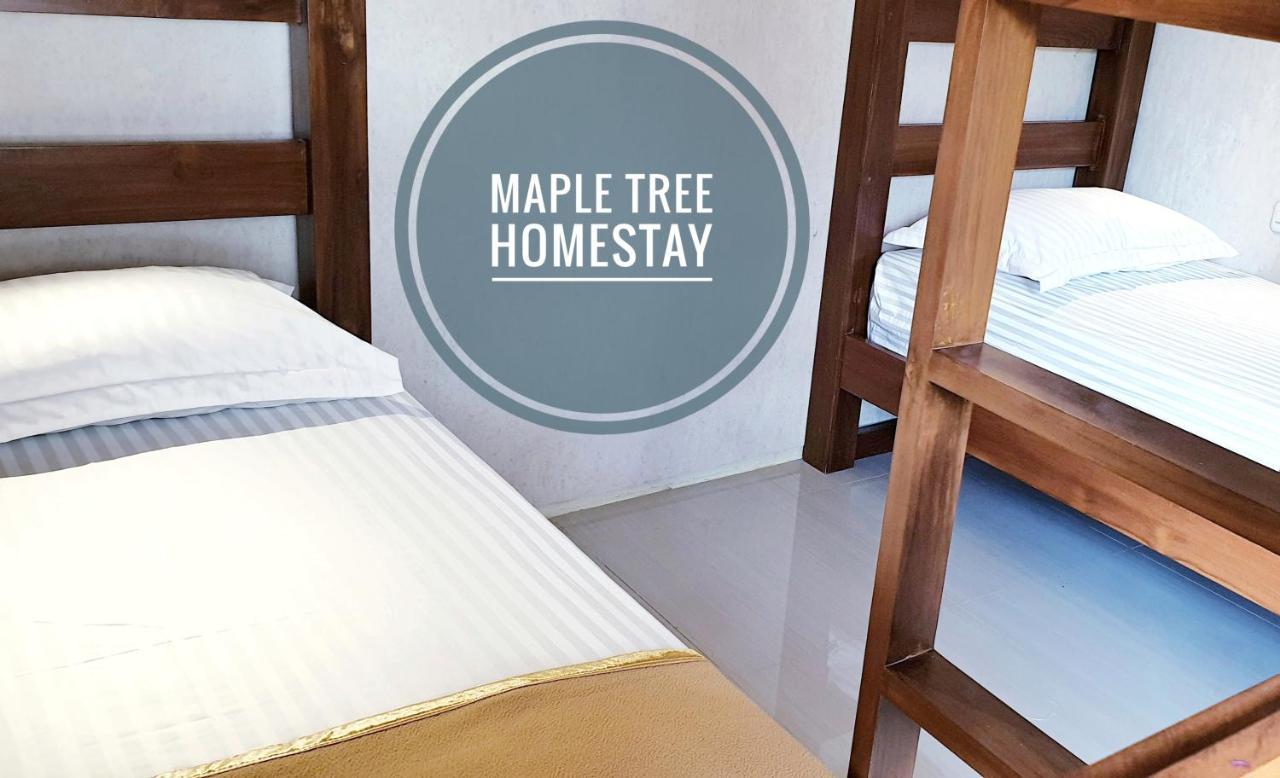 Maple Tree Homestay Maguwo 외부 사진