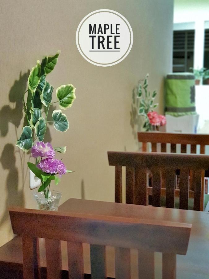 Maple Tree Homestay Maguwo 외부 사진
